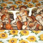Casa de hóspedes Kokava Kokava na Rimavica