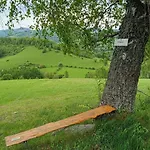 Kokava