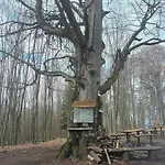 Kokava Casa de hóspedes Kokava na Rimavica