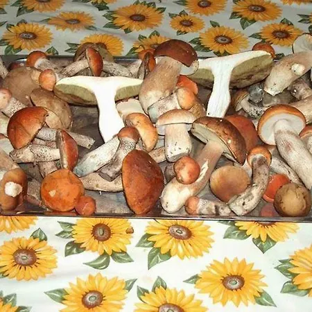 招待所 Kokava Kokava nad Rimavicou