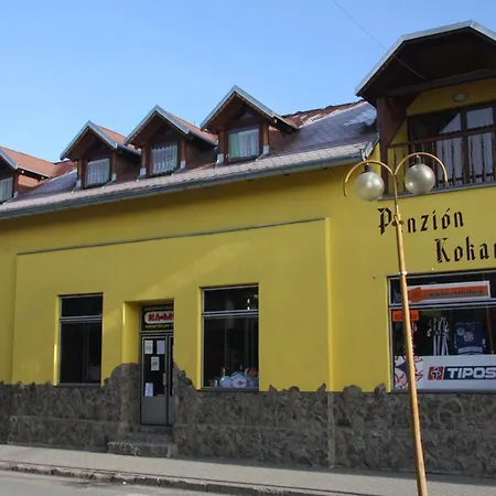 Kokava Guest house *