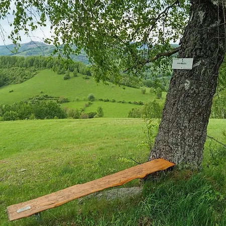 Kokava