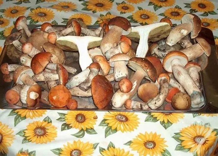 Penzion Kokava Kokava nad Rimavicou