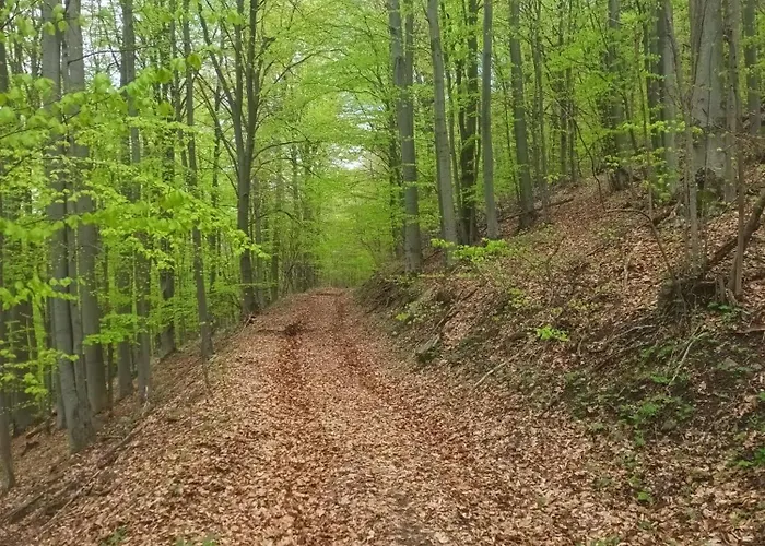 Penzion Kokava *